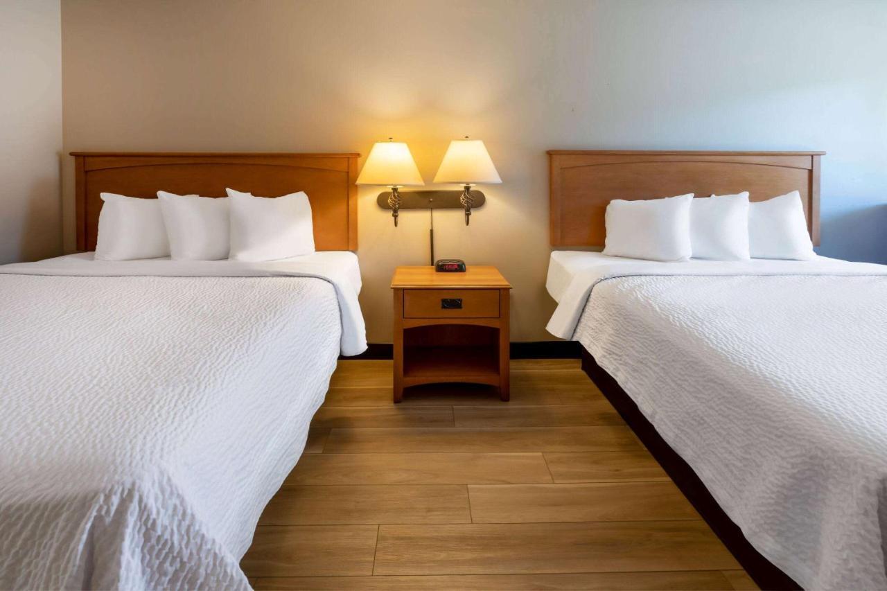 Days Inn By Wyndham Birch Run Extérieur photo